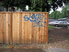 Graffiti on side fence