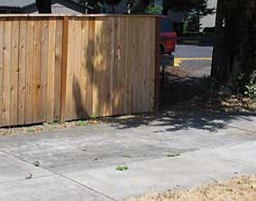 Side fence with new fence boards