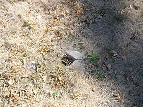 Concrete post footing in yard from old wheelchair ramp