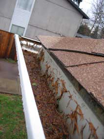 Pine needles, leaves, and silt in the gutters