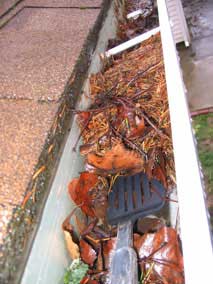 Using a spatula to clean out the gutters