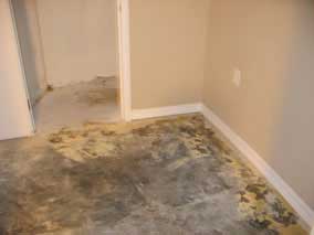 Concrete floor and wet carpet mastic after removing carpet