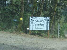 Bamboo Garden Nursery sign