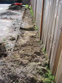 Starting the trench for bamboo barrier