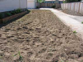 The yard after rototilling