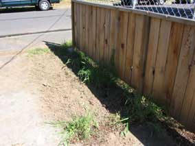 Small yard area to be turned into flowerbed