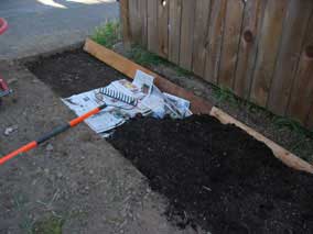 Laying topsoil and compost over newspapers in the flowerbed