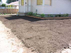 Yard after raking the surface before seeding