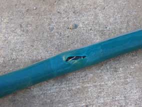 Garden hose leak