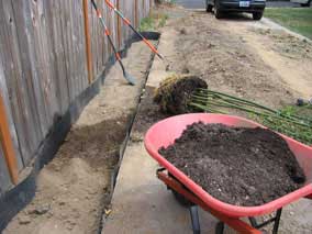 Preparing to plant the first bamboo