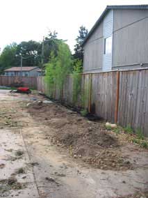 Bamboo screen and remaining excavated dirt