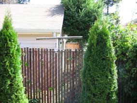 View from apartment complex looking back at west wall of garage