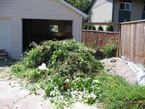 Brush and debris pile from behind the garage