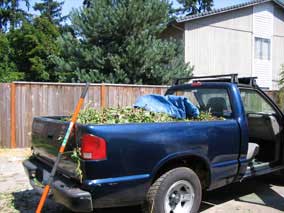 Brush and debris in Nate's truck