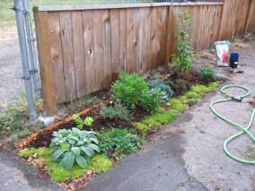 Small flowerbed in August