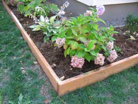 Copper slug barrier tape on top of planting bed wall