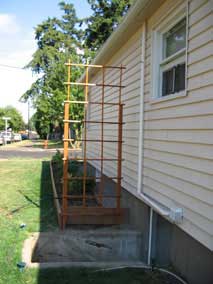 Trellis along north side of house