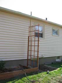 Trellis along north side of house