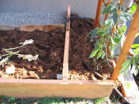 Copper slug barrier tape on top of planting bed wall