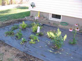 West garden with first set of plants planted