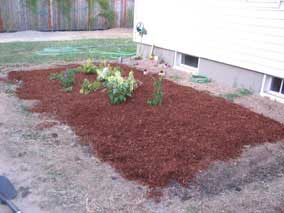 West garden with bark mulch