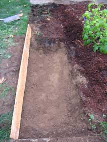 Trench dug for planting bulbs