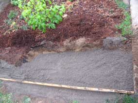 Layer of sand in bottom of bulb planting trench