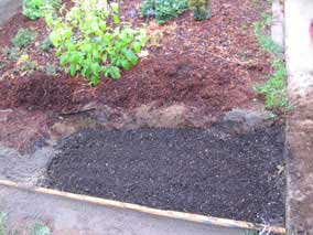 Layer of potting soil on top of sand base