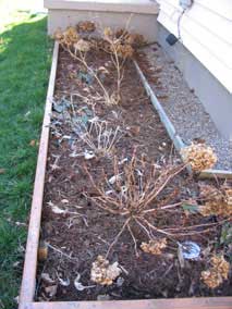 Front planting bed in January