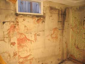 West wall of basement with drywall and studs removed