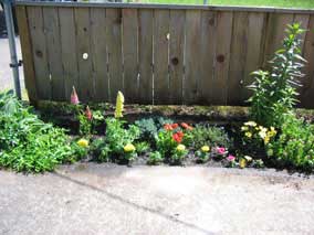 Small flowerbed with new marigolds, petunias, and lupine