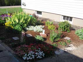 West Garden in late May after adding new plants and moving path