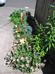 Small flowerbed in late May