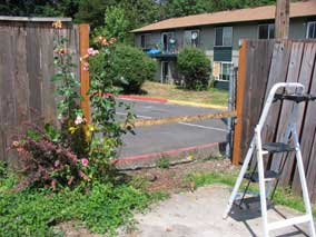 Fence section removed while making repairs