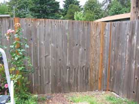 Fence boards replaced