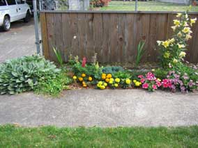 Small flowerbed in early summer