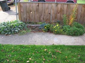 Small flowerbed in late October