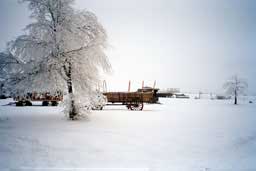 Wagons in Shaniko, Oregon