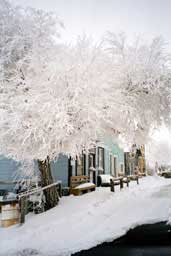 Snow-covered trees near storefronts in Shaniko, Oregon