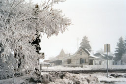 Winter scene near Shaniko, Oregon