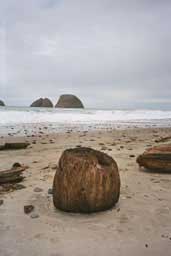 Driftwood stump, Manzanita, Oregon