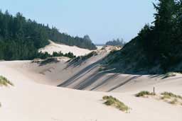 Oregon Dunes National Recreation Area