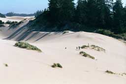 Oregon Dunes National Recreation Area