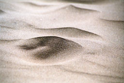 Oregon Dunes National Recreation Area