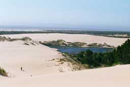 Oregon Dunes National Recreation Area