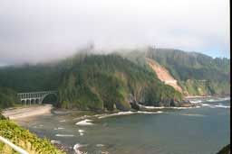 Mouth of Cape Creek from Heceta Head Lighthouse