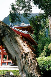 Byodo-in Replica, Valley of the Temples