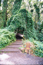 Along the trail to Manoa Falls