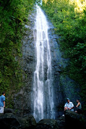 Manoa Falls