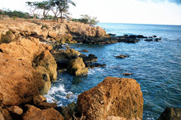 Rocky shoreline at Kahe Point